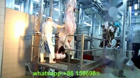Machine de traitement de la viande d'équipement d'abattage de boeuf de bétail d'abattoir à vendre